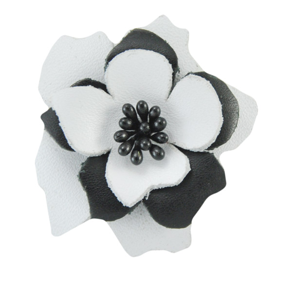 Nigella Flower Clipz